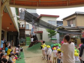 こいのぼりお別れ式🎏